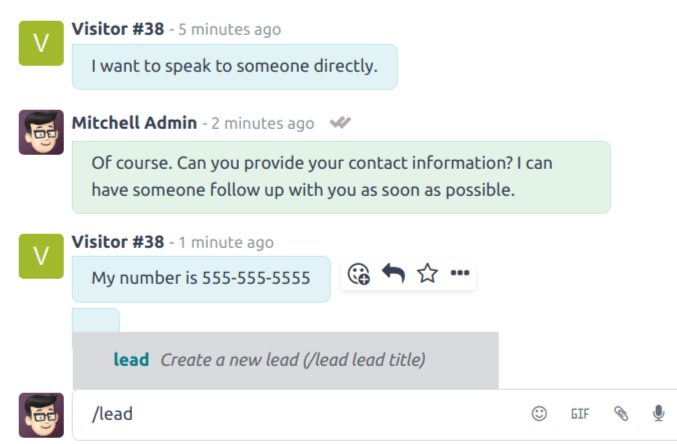 View of the results from a /lead command in a Live Chat conversation.